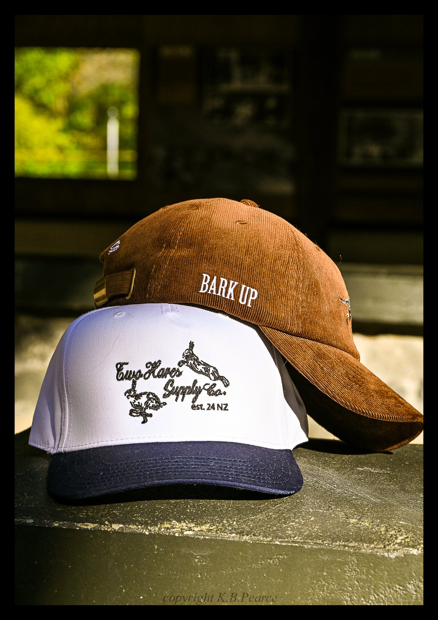 Bark Up Corduroy Cap