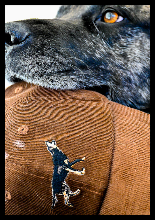 Bark Up Corduroy Cap